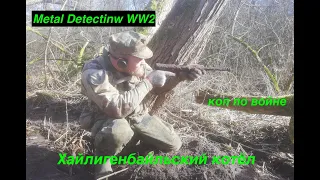 Бальга весной 2021. Коп по войне. Metal Detecting.