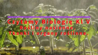 Czytamy - Biologia Klasa 5 "Rośliny nasienne. Tkanki i organy roślinne"