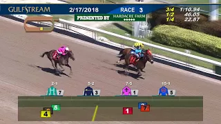 Gulfstream Park Replay Show | February 17, 2018