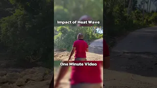 Impact Of Heat Wave