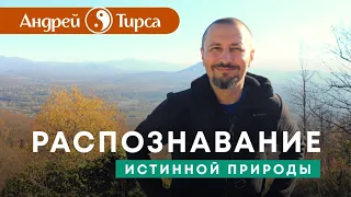 Андрей Тирса. Распознавание истинной природы.  Сатсанг 25 мая 2020. Пробуждение. Просветление.