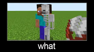 Minecraft wait what meme part 169 (Steve skeleton)