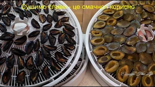 Сушимо сливи - це смачно і корисно!@Let's dry plums - it's tasty and useful!