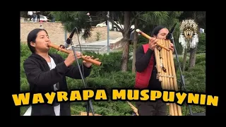 WAYRAPA MUSPUYNIN - MUSICA HERMOSA ALEXANDRR Y HÉCTOR