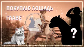 [ПОКУПКА ЛОШАДИ ГЛАВЕ THE CATS] || STAR STABLE