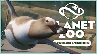 Habitat Design, Animations & More! | African Penguin Species Breakdown | Planet Zoo