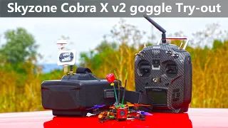 Skyzone Cobra X V2 goggle try-out