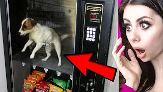 Unbelievable VENDING MACHINES From Around the World !