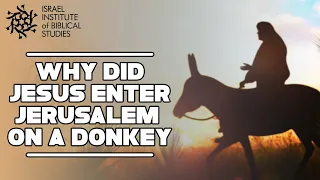 Why Did Jesus Enter Jerusalem Riding a Donkey? - Jerusalem In The Footsteps of Jesus