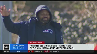 Jerod Mayo hired as New England Patriots head coach