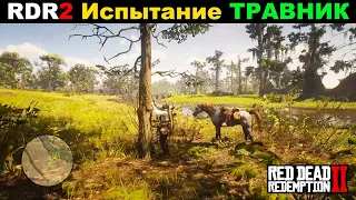 Red Dead Redemption 2 ► МОЁ ПРОХОЖДЕНИЕ НА 100%. Испытание ТРАВНИК