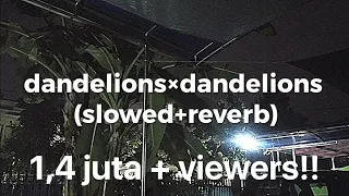 dandelions × dandelions (slowed+reverb)