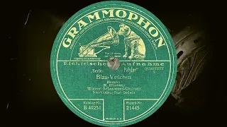 Blau-Veilchen - Wiener Schrammel-Quartett, Solo-Violine: Paul Godwin (1928)
