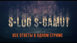 S-LOG  и S-GAMUT все ответы в одном стриме!