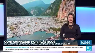 Los desechos plásticos en el océano se cuadruplicarán para 2050: WWF