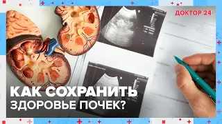 Как сохранить ЗДОРОВЬЕ ПОЧЕК? | Доктор 24