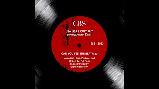 Lisa Lisa & Cult Jam - Can you feel the Beat (Special Remix)