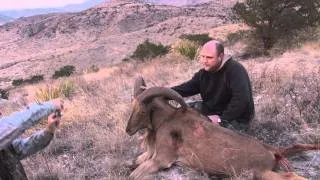 Gage Aoudad &  Mule Deer Hunt HD