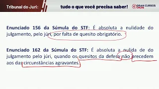 Tribunal do Júri: tudo o que você precisa saber! Com Mayara Tachy