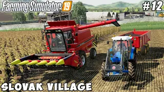 Caring for cows, harvesting sunflowers | Slovak Village | Farming simulator 19 | Timelapse #12