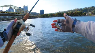 Urban Fishing in Pittsburgh - Multi Species Caught on the Allegheny River