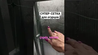 Супер-сетка для огурцов. https://vk.com/gala_tomato