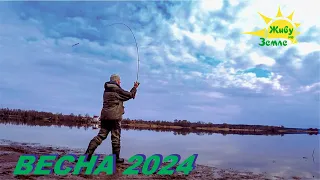 Рыбалка Весной. Клёв Рыбы на Джиг! Отличное Утро в Апреле 2024