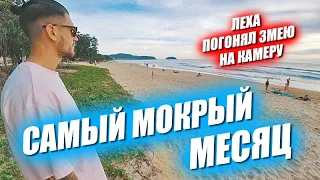 Леха погонял змею. Популярный пляж в самый мокрый месяц. Покупаем электронки