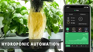 Nido | Easy Hydroponic automation controller
