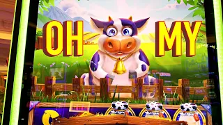 BIG NEW MOO MOO MADNESS WIN!!!!!!!!!