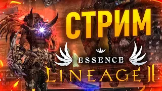 [Lineage 2 Essence] Первый День за Овера 84+. Lavander. Утренний стрим.