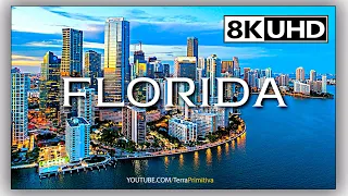 Florida, United States 8K Ultra HD Cinematic