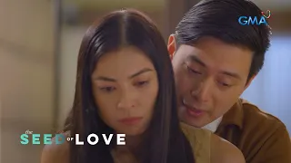 The Seed of Love: The loving wife ends her marriage (Episode 22)