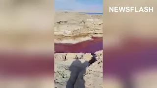 Water Turns Red At Lake Next To Dead Sea