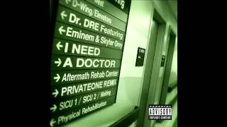 Dr. Dre - I Need A Doctor feat. Eminem, Skylar Grey (Privateone remix)