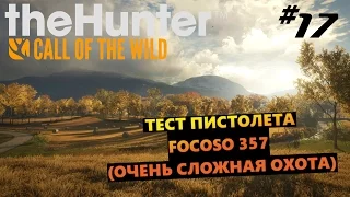 theHunter Call of the Wild #17 Тест пистолета focoso 357 (очень сложная охота)