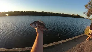 Good Arvo Fishing Silt Jetties...