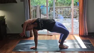 Animal Flow Vinyasa Yoga