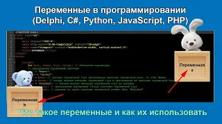 Что такое переменная в программировании (Delphi, C#, PHP, JavaScript, Python)?