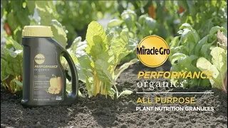 How to Use Miracle-Gro® Performance Organics™ All Purpose Plant Nutrition Granules