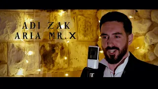 ADI ZAK- Aria mr. x (cover)