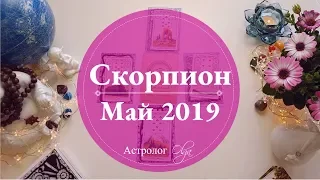 СКОРПИОН (карты) события МАЯ 2019. Астролог Olga