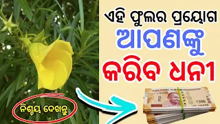 କନିଅର ର ଏହି ଉପାୟ କରିବ ଆପଣଙ୍କୁ କୋଟିପତି| sadhu bani | jitu das sadhubani | ajira anuchinta