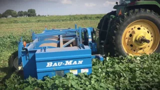 Sweet Potato Harvester