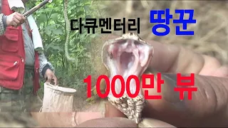 땅꾼  a snake hunter