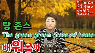 [The Green Green Grass of Home 배워볼까] 라이브강의 Tom Jones 그린그린그래스어브홈 탐존스 고향의푸른잔디