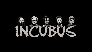 Wish you were here - INCUBUS Guitar backing track with vocals