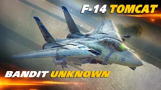 F-14 Tomcat Bandit Unknown | Dogfight | Digital Combat Simulator | DCS |