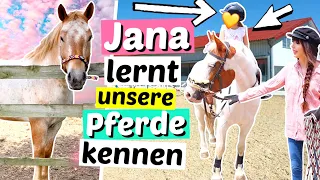 6-jährige NICHTE reitet zum 1.Mal & lernt unsere Pferde kennen 😱 | ViktoriaSarina