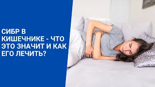 СИБР в кишечнике - что это значит и как его лечить